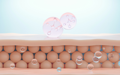 Why Absorption Matters: The Key to Effective Health Support